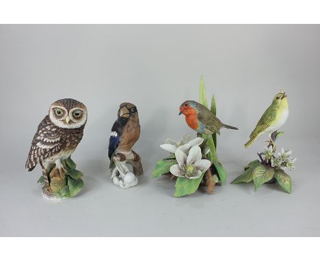 Three large Royal Worcester porcelain models of birds, Little Owl 56/250, Robin 146/250, and Wood Warbler 68/250 (a/f), with 