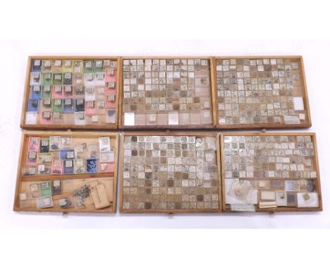 Six drawer wooden chest containing a quantity of various automatic watch parts within named cases to include Helvetia, Rolex,