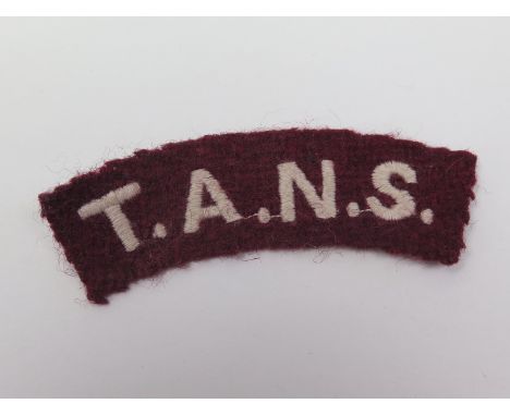 T.A.N.S. (Territorial Army Nursing Service) WW2 shoulder title badge