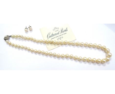 A single strand cultured pearl necklace with a 9ct white gold clasp with a pair of pearl stud earrings