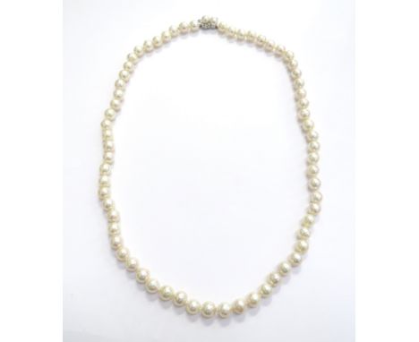 A single strand of irregular shaped pearls with a white gold pearl and diamond set clasp stamped 14k, 58cm long