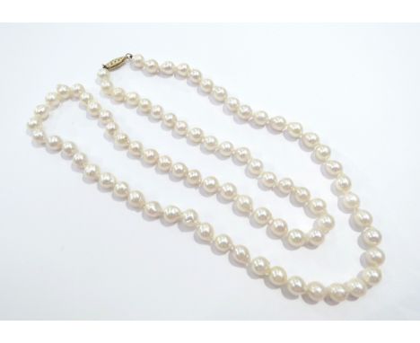 A cultured freshwater single row pearl necklace 81 Chinese pearls 6.5mm to 6.7mm, clasp stamped 14k, 65cm long