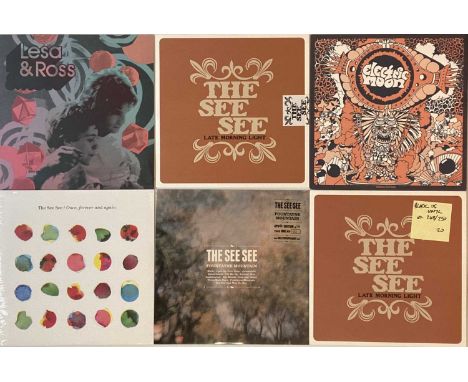 THE GREAT POP SUPPLEMENT - LP RARITIES. A smashing pack of 16 LPs released by the psych/ experimental label The Great Pop Sup