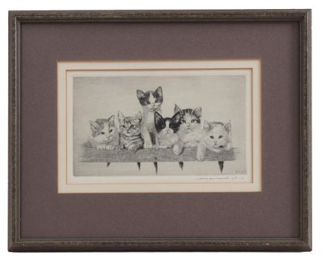 Maarten Langbroek (1918-1985)6 posing kittens in a row, etching dated 1979, 13.5x22 cm, in frame total 28.5x36 cm