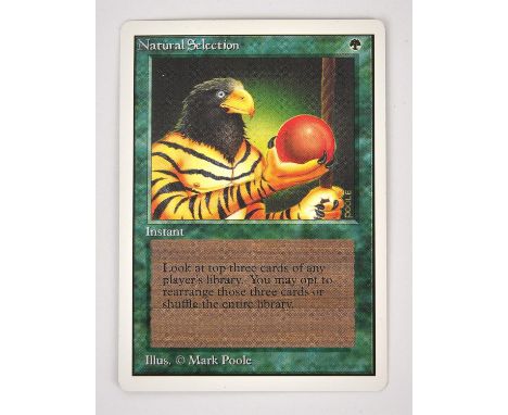 Magic The Gathering TCG - Natural Selection Unlimited (1993).This lot contains one copy of Natural Selection from Unlimited. 