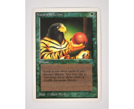Magic The Gathering TCG - Natural Selection Unlimited (1993).This lot contains one copy of Natural Selection from Unlimited. 