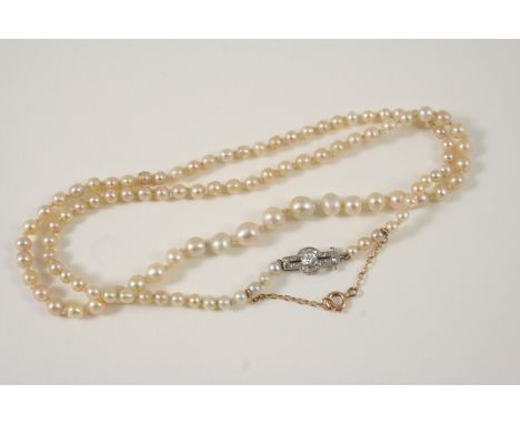 A SINGLE ROW GRADUATED NATURAL PEARL NECKLACE  the pearls graduate to a clasp centred with an old brilliant-cut diamond withi