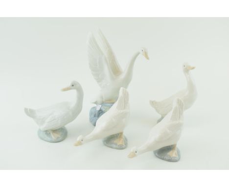 A group of five Nao / Lladro Swans and Geese. Height 20cm. In good condition with no obvious signs of damage or restoration.