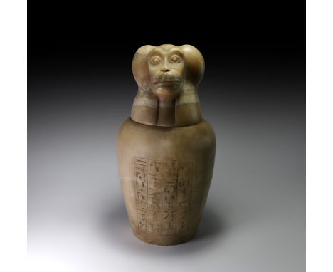 Late Period, 664-332 BC. A carved alabaster canopic jar with separate lid; the jar with rounded shoulder and smooth tapering 