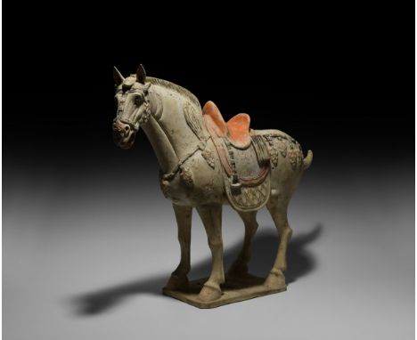 Tang Dynasty, 618-907 AD. A large ceramic figure of a horse, head held slightly to the left and mouth open, dressed mane with