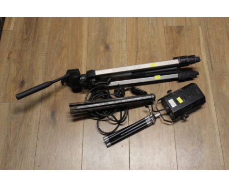 Camera tripod and tripod light 
