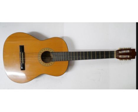 A Hohner MC-05 acoustic guitar and soft case