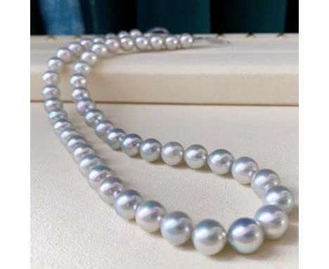 Aurora translucent elegant golden gray platinum gray pure natural pearl 8-9mm basically round extremely strong light skin lig