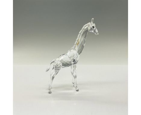 A gem from Swarovski's African Wildlife collection, this sparkling clear crystal baby giraffe stands tall with a frosted mane