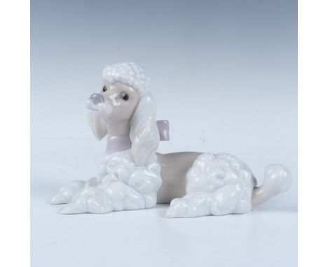A glossy figure of a adorable poodle. This item has its original box, measuring 8.25"L x 5.5"W x 5.25"H. Lladro backstamp. Ar