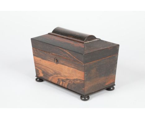 Sarcophagus shaped 19th Century coromandel tea caddy, two interior compartments raised on bun feet. 