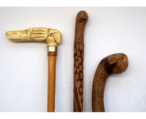 Three wooden walking stick, one of bamboo with a white bone finial in the form of a hound's head