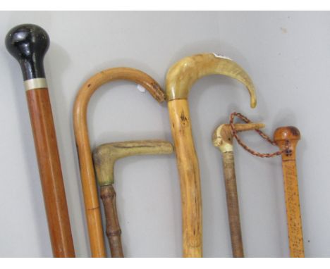 A mixed collection of walking sticks to include bamboo and Malacca examples, together with a further with a crook horn handle