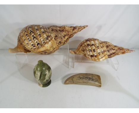 Two large sea shells, possibly Triton, the larger approx 43cm across, a resin model in the style of Scrimshaw and an Onyx lid