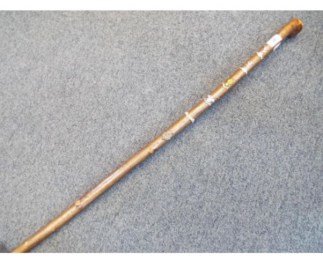 A walking stick containing six military badges. Estimate £20 - £30