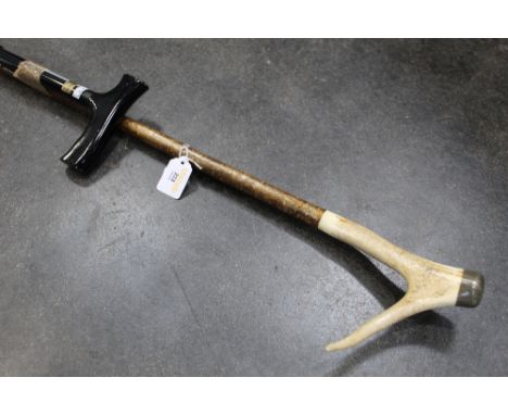 Hazel shafted walking stick with horn handle and another walking stick 