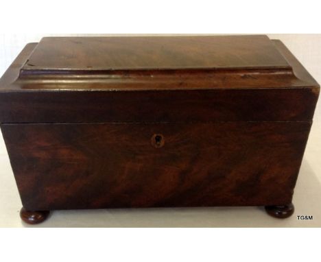 Mahogany Sarcophagus Tea caddy