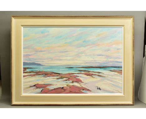 TOM BARRON (SCOTTISH CONTEMPORARY) 'DISTANT LIGHT, SANNA BAY III' a Scottish coastal landscape, signed bottom right, oil on c