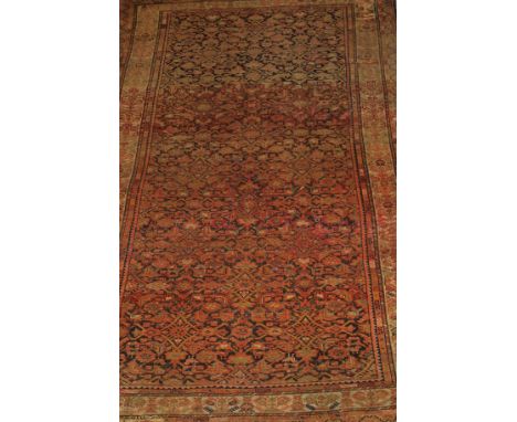A Caucasian carpet, the centre field with all over stylised floral and foliate decoration in terracotta, madder, cinnamon and