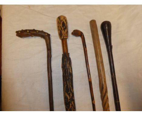 Five various rustic walking sticks and canes including carved wood rustic walking stick in the form of a closed umbrella; sma