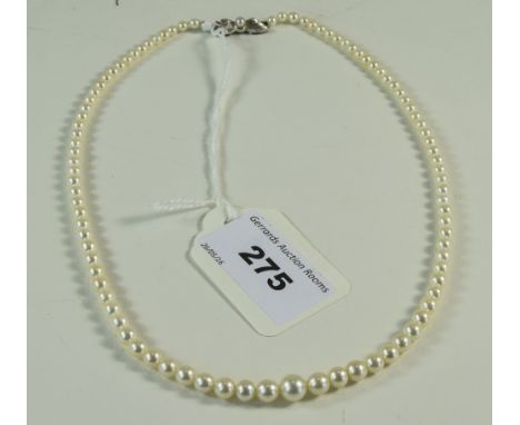 Cultured Pearl Necklace Graduating Pearls Set With A sterling Silver Clasp, Length 16 Inches