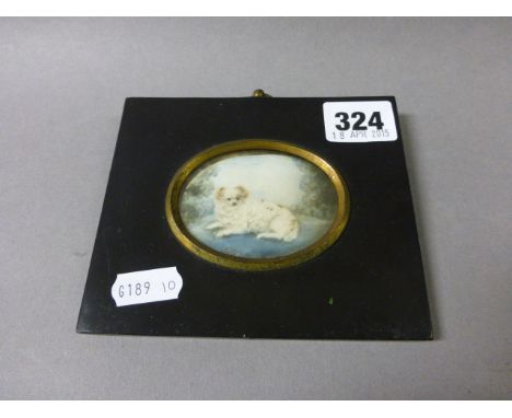 19th century Miniature Portrait in Ebonised Frame of a Small Dog