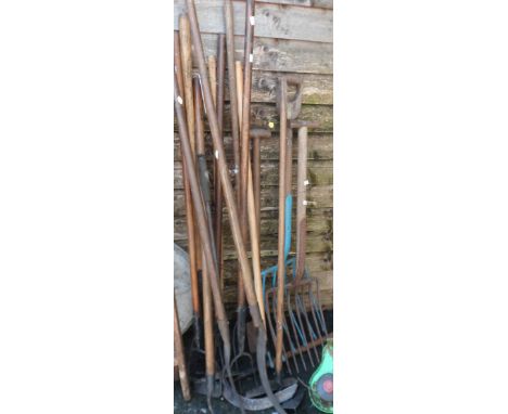 A quantity of garden tools including hoes, rakes, etc.