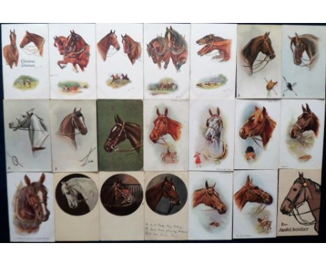 Postcards, Animals, a good illustrated selection of approx. 82 cards of horses, horses heads, horses with dogs etc., in sets 