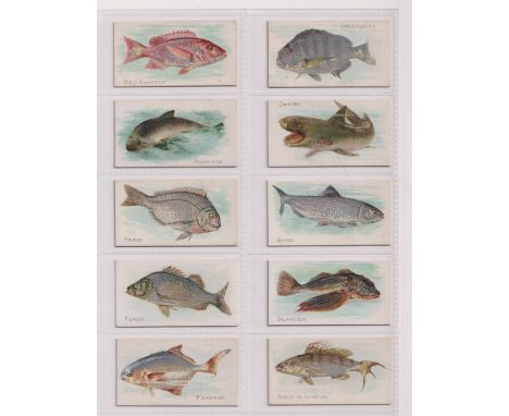 Cigarette cards, USA, American Tobacco Co, Fish From American Waters, 10 cards, Pampano, Perch, Porgy, Porpoise, Red Snapper,