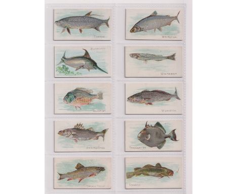 Cigarette cards, USA, American Tobacco Co, Fish From American Waters, 10 cards, Brook Trout, Striped Bass, Sunfish, Swordfish