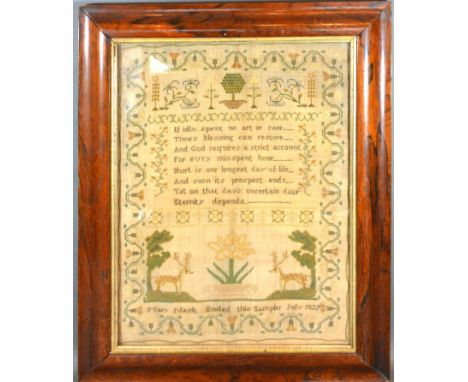 A George IV Wool Work Sampler by Mary Nash dated July 1829 within rosewood frame, 43 x 32 cms 