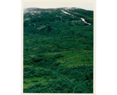 (See English version below)Axel Hütte (Essen 1951 – lebt in Düsseldorf). „Furka / Realp“. 1997C-Print.  28,8&nbsp;×&nbsp;22,1