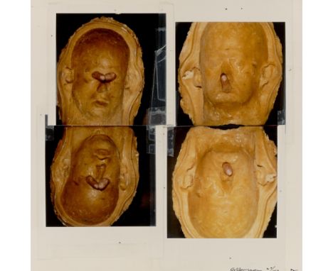 (See English version below)Bruce Nauman (Fort Wayne/Indiana 1941 – lebt in Galisteo/New Mexico). „Untitled (New Museum Image)