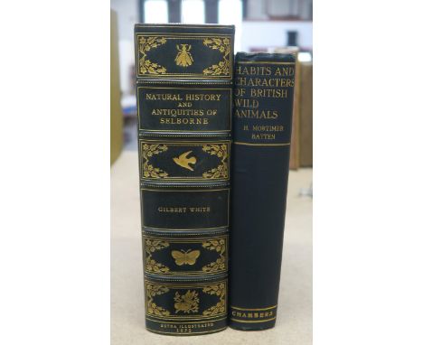 White, Gilbert&nbsp;Natural History and Antiquities of Selborne With Notes by Frank Buckland, a Chapter on Antiquities by Lor