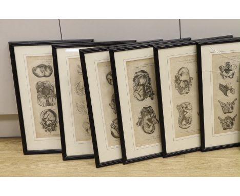 A set of eight medical and anatomical 18th century engravings, illustrating the theory and practice of midwifery, engraved fo