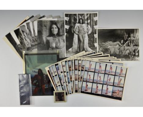25+ vintage film stills and transparencies of Caroline Munro and Martine Beswick, some from Ray Harryhausen films, mainly 10 