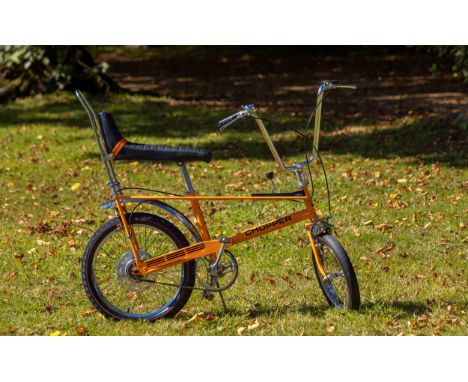 Raleigh chopper best sale serial numbers database