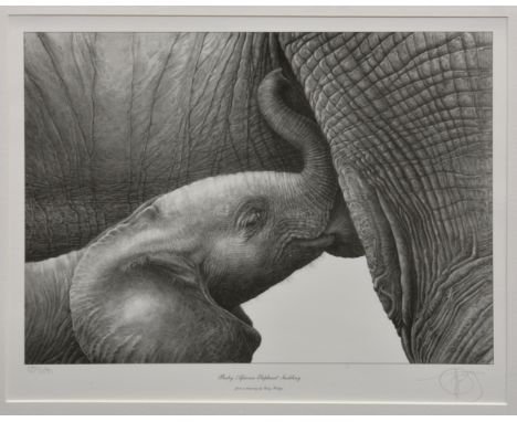 Gary Hodges (British, b.1954), 'Baby African Elephant Suckling', limited edition monochrome print on laid paper, signed and n
