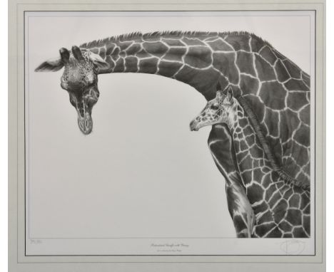 Gary Hodges (British, b.1954), 'Reticulated Giraffe with Young', limited edition monochrome print on wove paper, signed and n