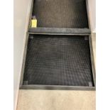Lot de 2 tapis avec bord pour désinfecter bottes