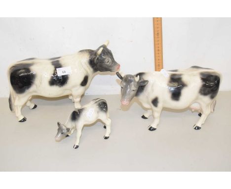 Group of Melba ware bulls and a calf