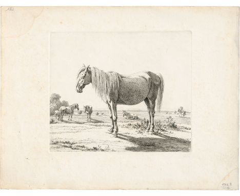   Kobell, Wilhelm von: Pferde auf der Weide  Pferde auf der Weide. 4 Radierungen. 16,5 x 19,6 cm, 16 x 19,1 cm, 10,5 x 16,5 c