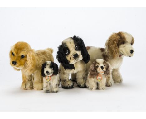 Five post-war Steiff Cockie spaniels, Two standing black and white Cockies, a seated —4in. (10cm.) and standing brown Cockies