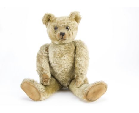 A J K Farnell teddy bear 1920s,  With blonde mohair, clear and black glass eyes, remains of brown painted backs, pronounced c