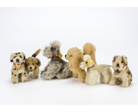 Six post-war Steiff dogs, A seated Molly —4¼in. (11cm.) high, a wool plush Chow, a Biggie Beagle, a Dally Dalmatian, a white 